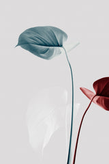 Monstera Creative 23 Poster och Canvastavla