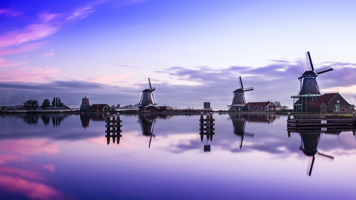 Zaanse Schans Poster och Canvastavla