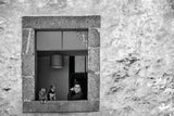 The window. Poster och Canvastavla