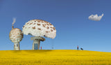 Fungi Houses Poster och Canvastavla