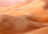 Desert Beauty Poster och Canvastavla