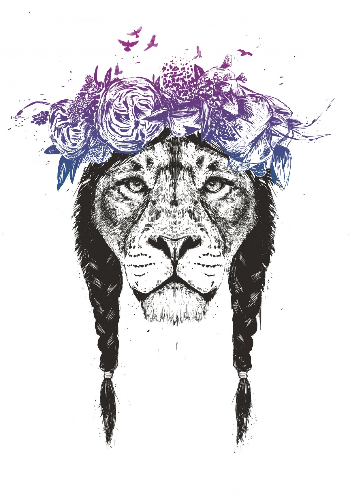 King of lions Poster och Canvastavla