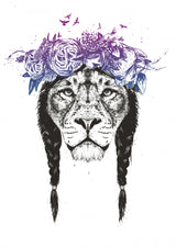 King of lions Poster och Canvastavla