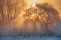 warm and cold Poster och Canvastavla