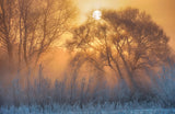 warm and cold Poster och Canvastavla
