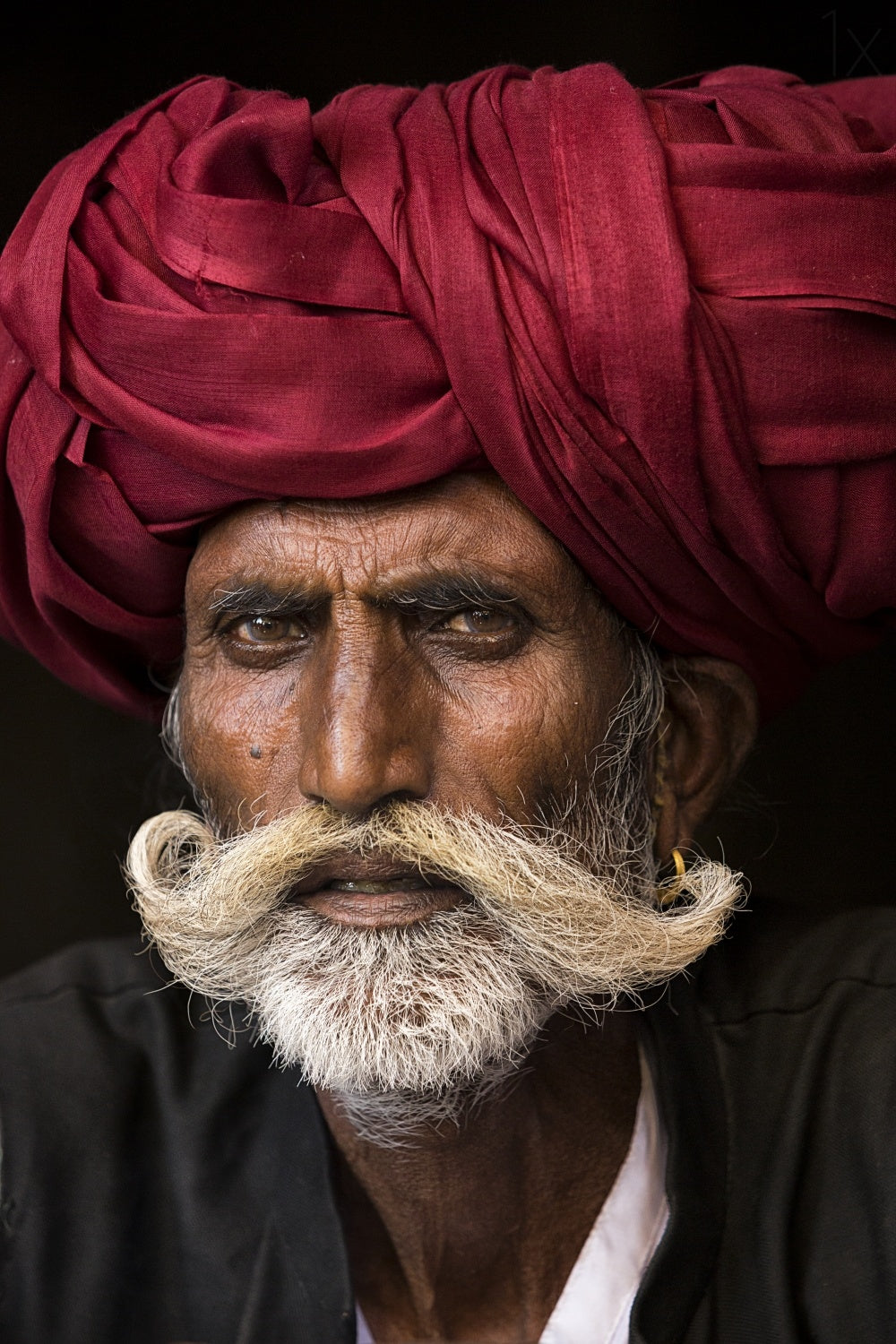 Man from Rajasthan Poster och Canvastavla