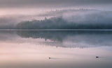 A little while in the morning Poster och Canvastavla