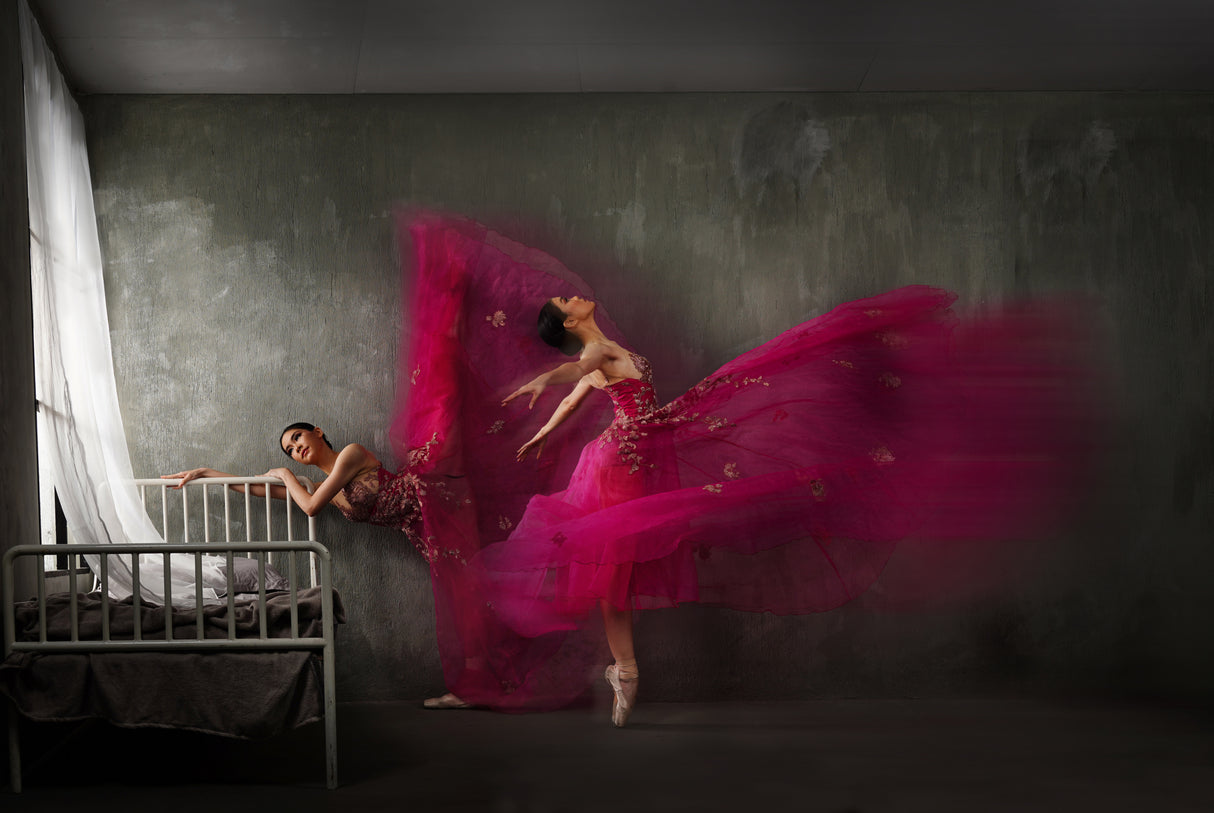 Duo red gown ballerinas Poster och Canvastavla