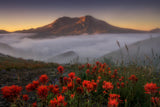 Foggy Sunrise Poster och Canvastavla