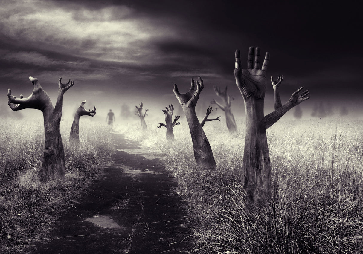 The forest of the forgiveness Poster och Canvastavla