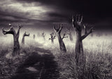 The forest of the forgiveness Poster och Canvastavla