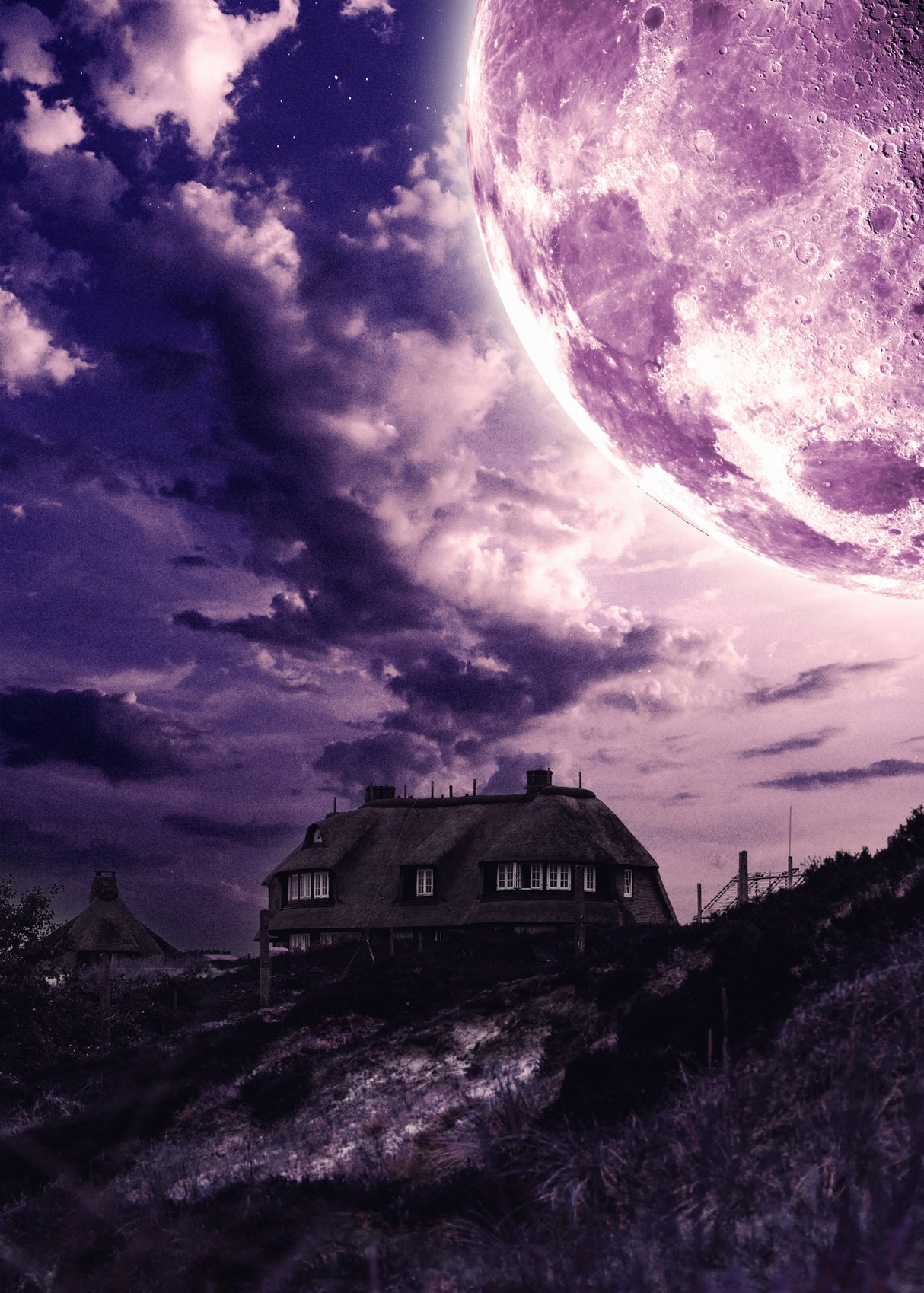 Home Mystic Full Moon Poster och Canvastavla