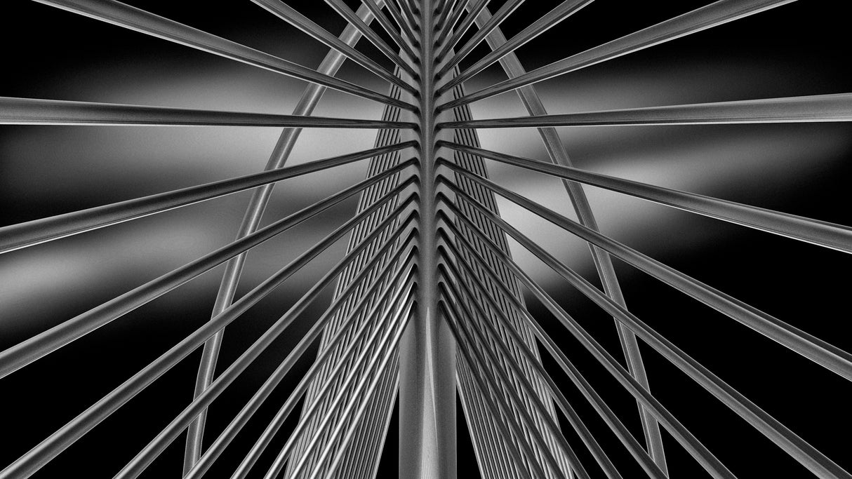 Under the Strings Poster och Canvastavla