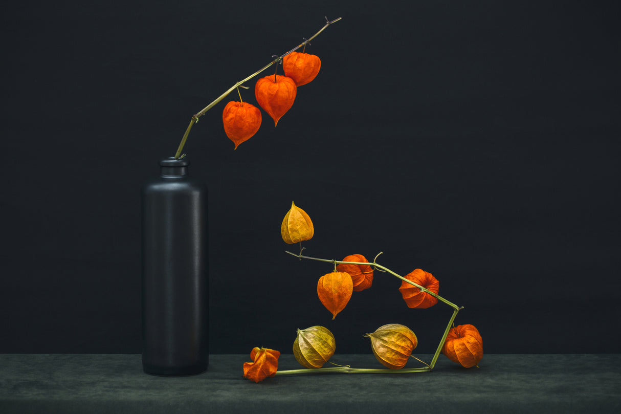 Still life with a branch of Physalis Poster och Canvastavla
