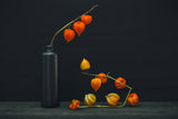 Still life with a branch of Physalis Poster och Canvastavla