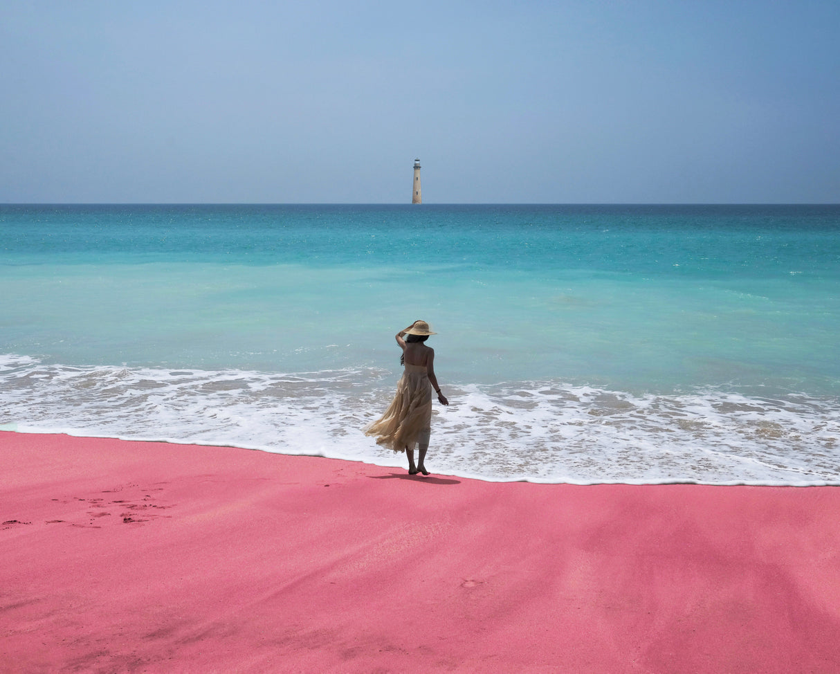 The lonely woman Poster och Canvastavla