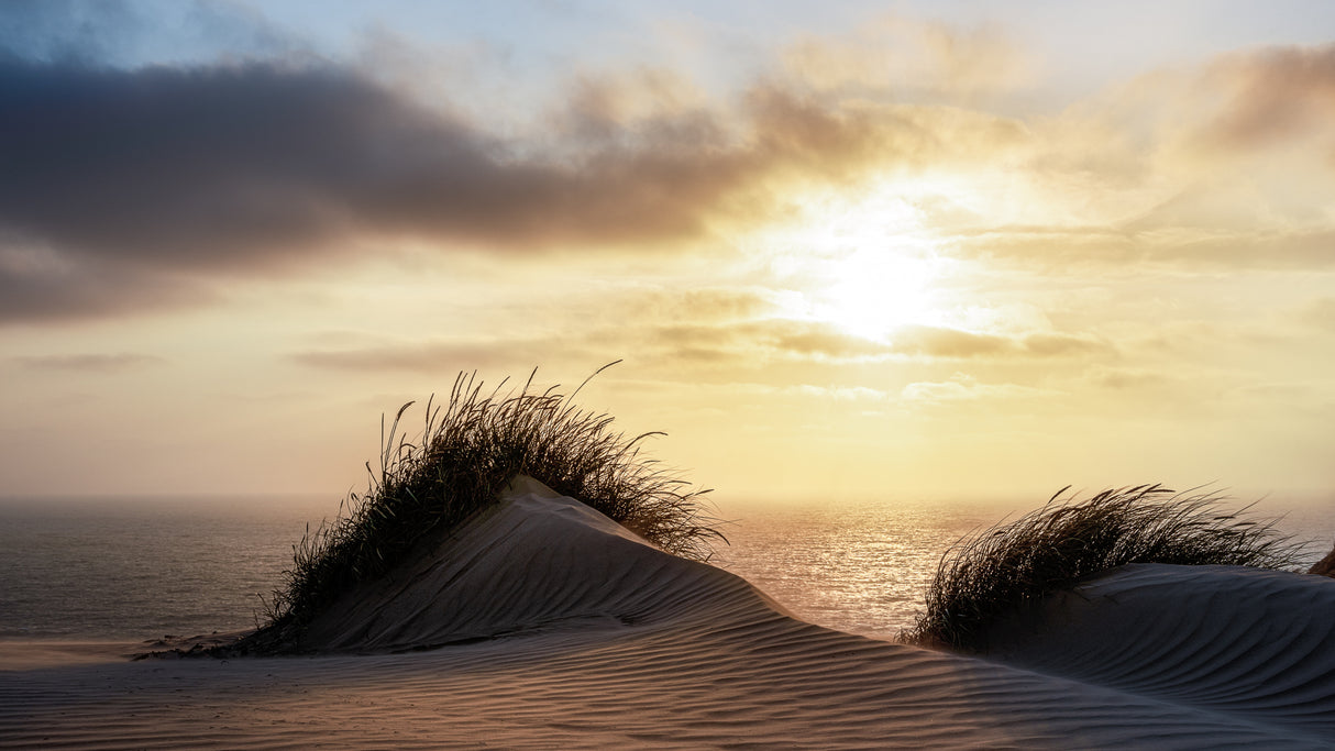 Dune - Denmark Poster och Canvastavla