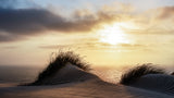 Dune - Denmark Poster och Canvastavla