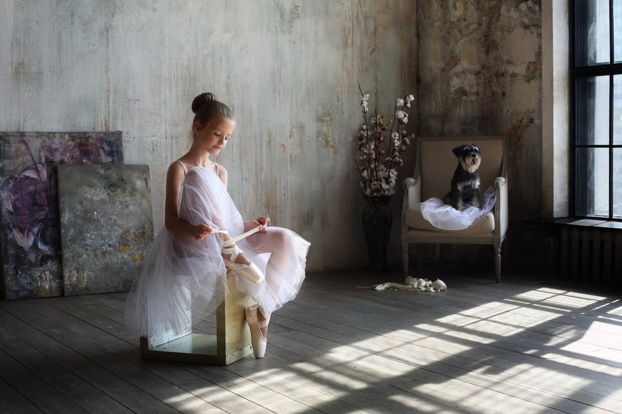 The little dancer Poster och Canvastavla