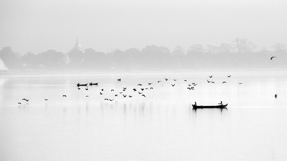 Serene Morning Lake Poster och Canvastavla