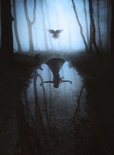Fly to you 2 Poster och Canvastavla