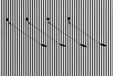 Lines and Shadows Poster och Canvastavla