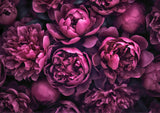 Moody Pink Watercolor Flowers Poster och Canvastavla
