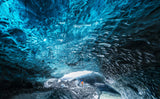 Ice cave adventure Poster och Canvastavla