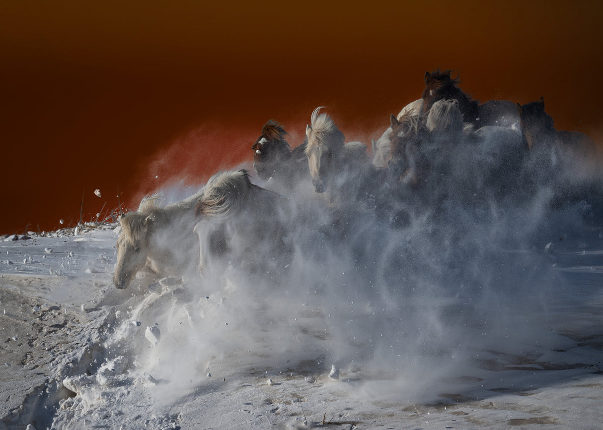 Escaping from the sea of fire Poster och Canvastavla
