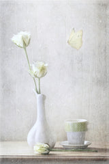 Soft White Petals Poster och Canvastavla