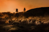 shepherd Poster och Canvastavla