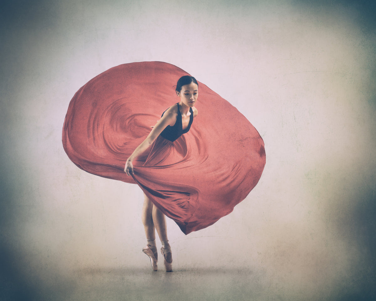 Red Skirt Poster och Canvastavla