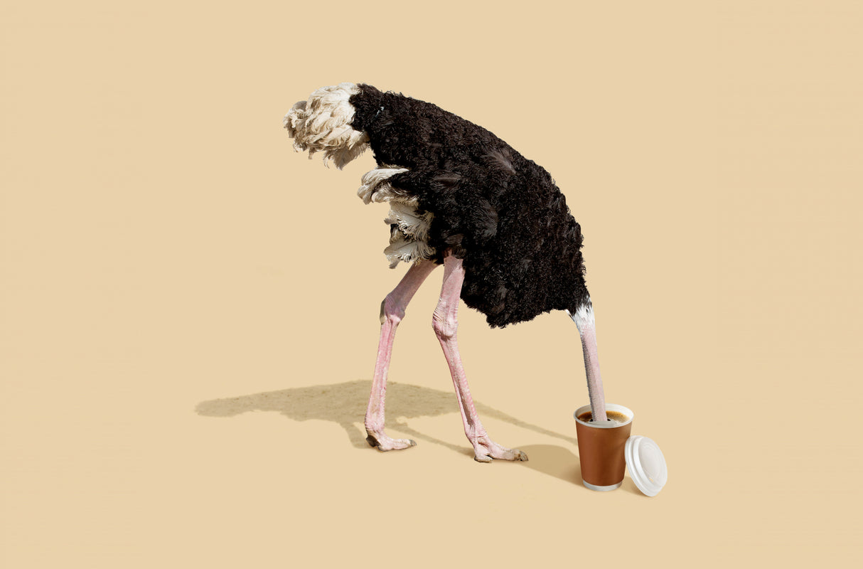 Dive in Coffee Poster och Canvastavla
