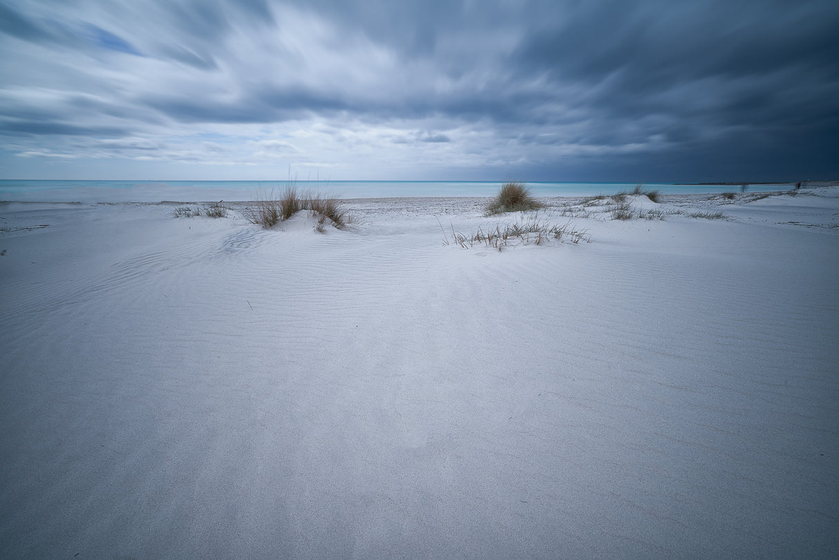 Beach White Poster och Canvastavla