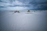 Beach White Poster och Canvastavla