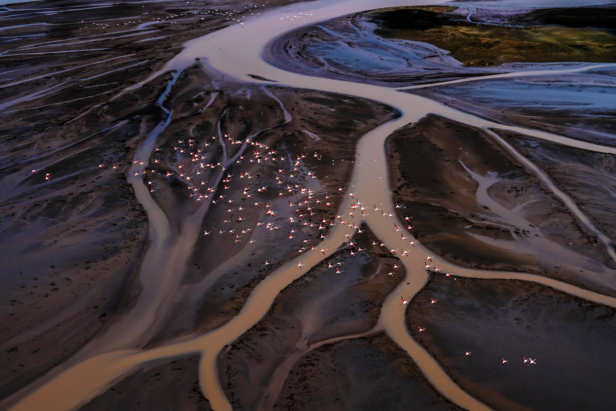 Flying Over Lake Magadi -1 Poster och Canvastavla