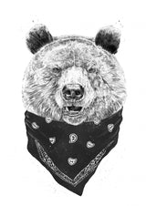 Wild bear Poster och Canvastavla