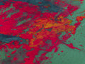 colored paints Poster och Canvastavla