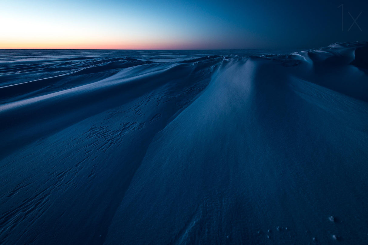 The blue hour Poster och Canvastavla