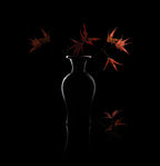 a sense of autumn Poster och Canvastavla