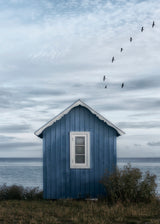Beach hut Poster och Canvastavla