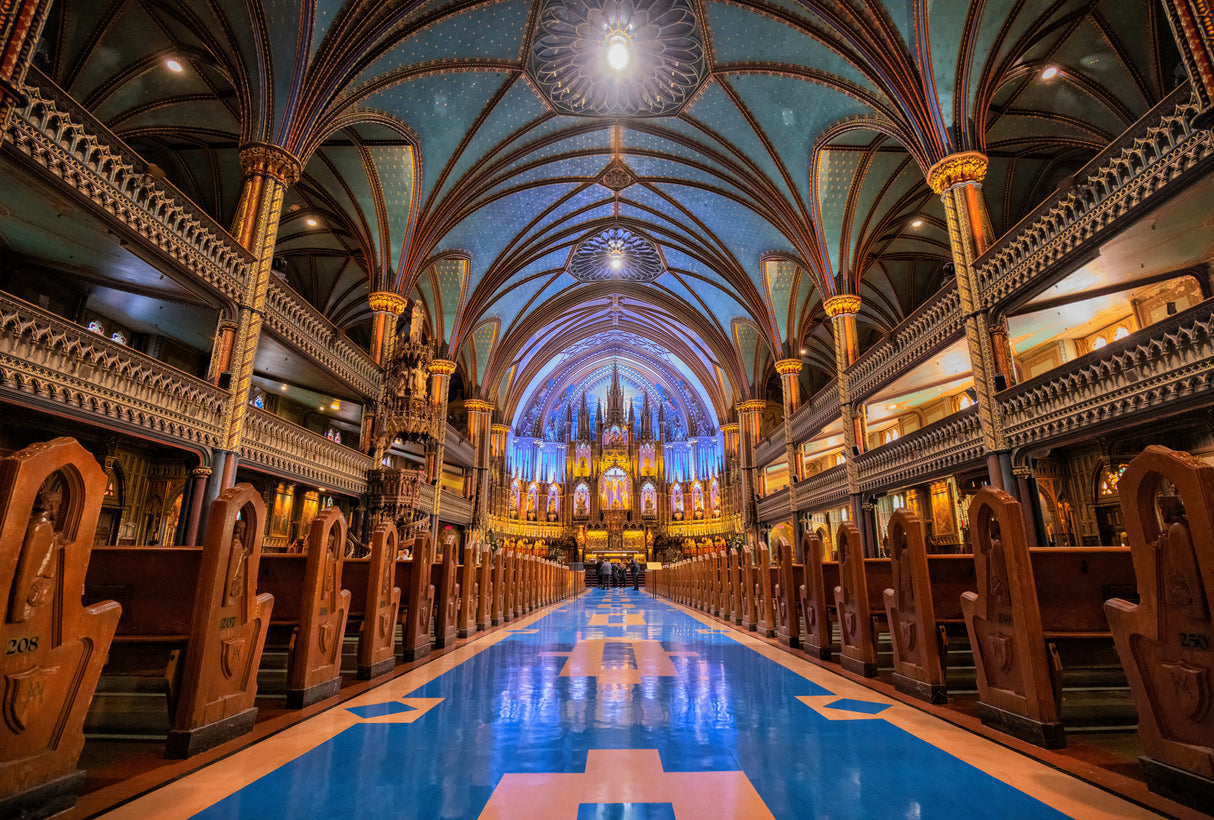 Notre Dame de Montreal Poster och Canvastavla
