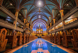 Notre Dame de Montreal Poster och Canvastavla