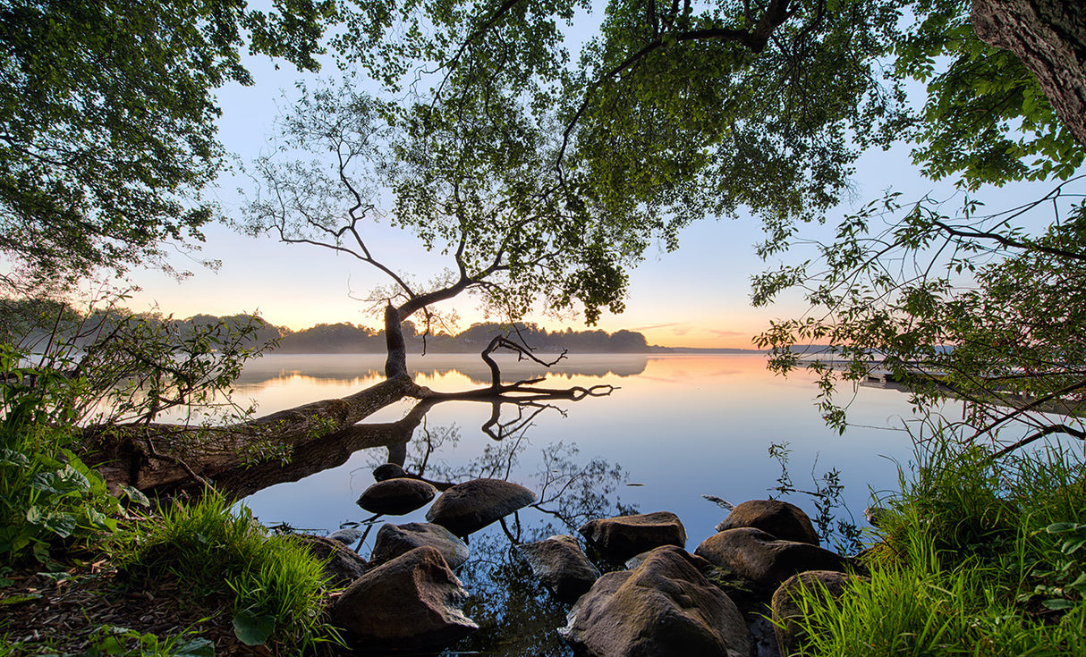Lake view Poster och Canvastavla