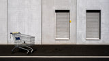 touches of lemon Poster och Canvastavla
