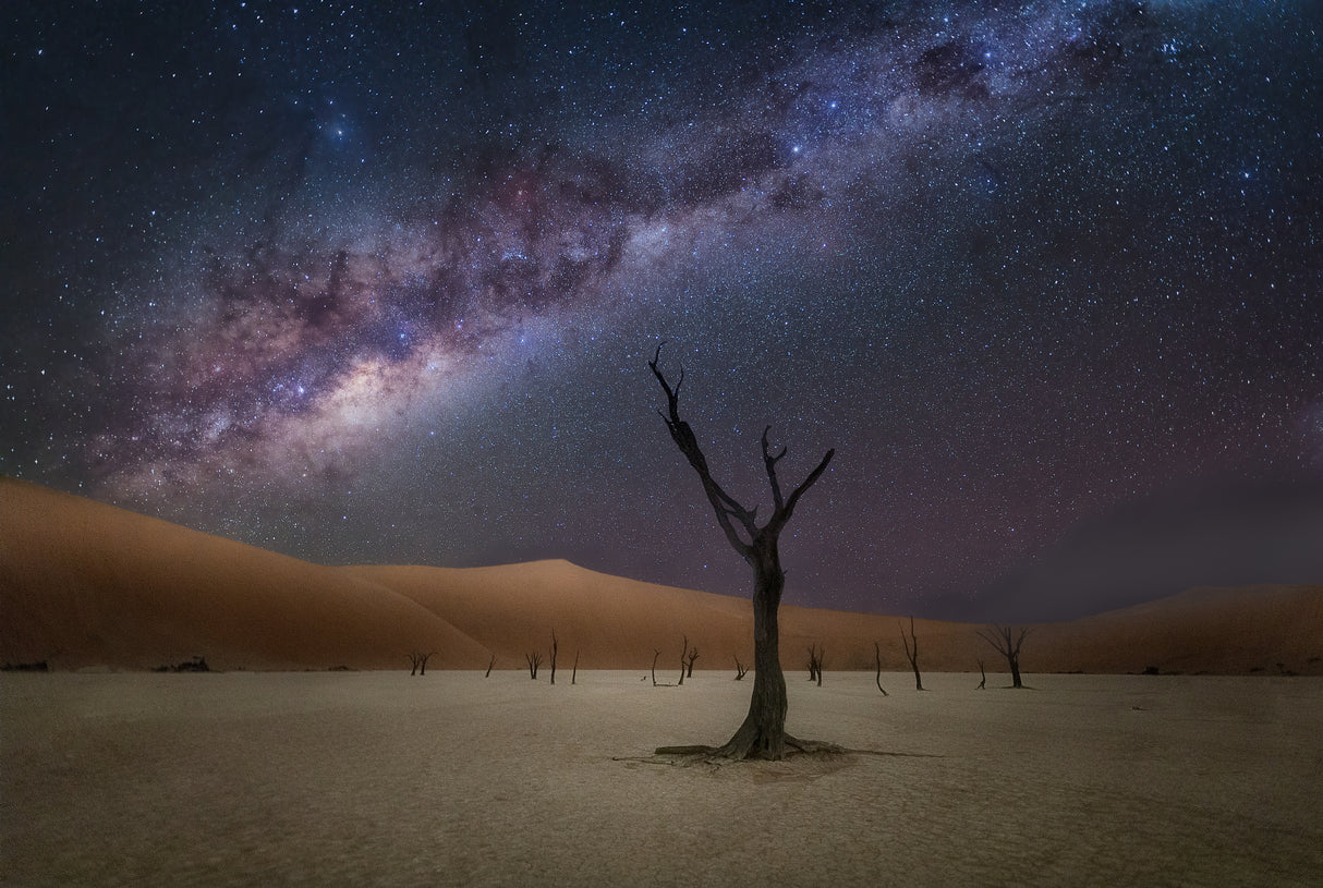 The Milkyway at Deadlvei Poster och Canvastavla