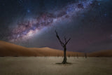 The Milkyway at Deadlvei Poster och Canvastavla