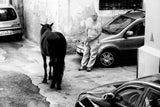 Man with Horse in Palermo Sicily Poster och Canvastavla