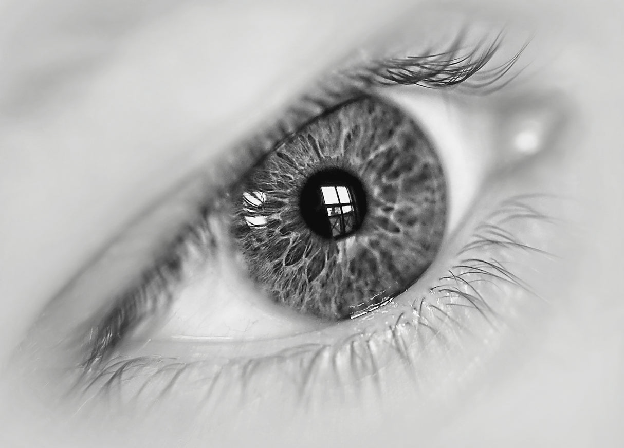 The eye - window to the world Poster och Canvastavla