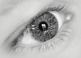 The eye - window to the world Poster och Canvastavla